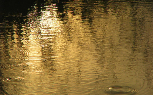 520755 (a): :1920x1200